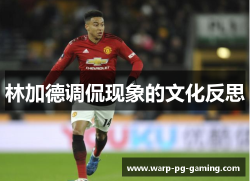 林加德调侃现象的文化反思