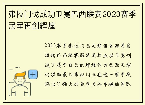 弗拉门戈成功卫冕巴西联赛2023赛季冠军再创辉煌