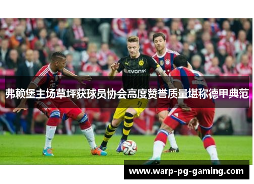 弗赖堡主场草坪获球员协会高度赞誉质量堪称德甲典范