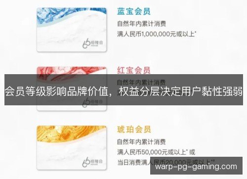 会员等级影响品牌价值,权益分层决定用户黏性强弱 会员等级影响品牌价值,权益分层决定用户黏性强弱
